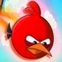 Angry Ducks