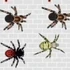 Spider Apocalypse